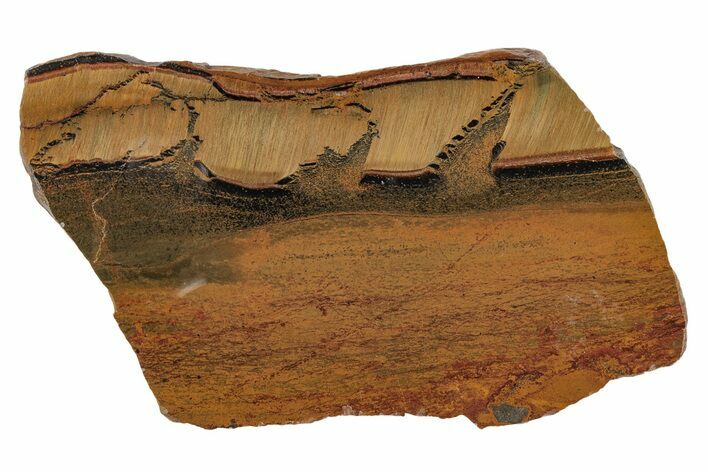 Polished Packsaddle Tiger Eye Slab - Western Australia #216748